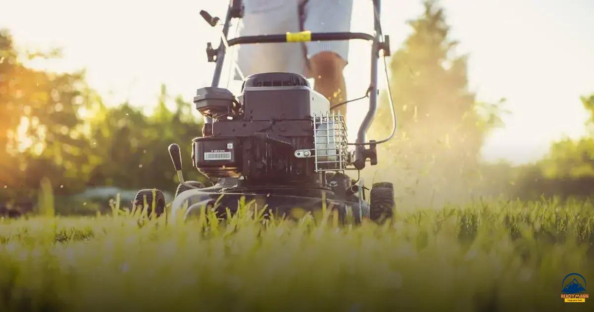 Lawn care schedule: tips to keep your grass green and healthy all year